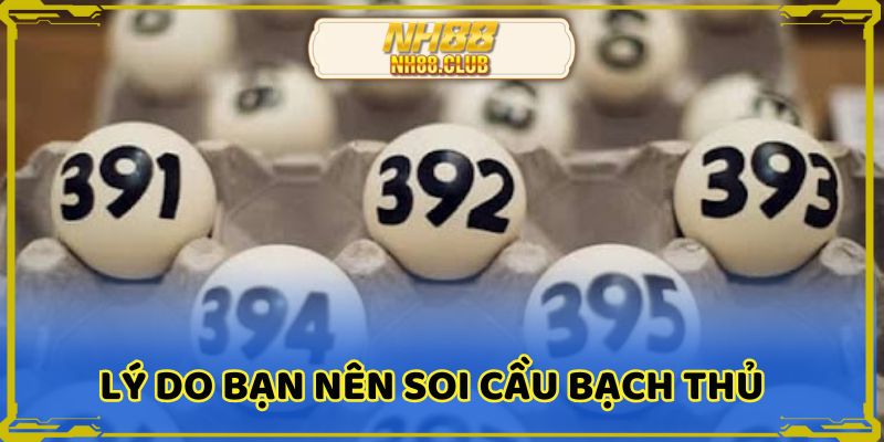 Những lợi ích khi soi cầu bạch thủ